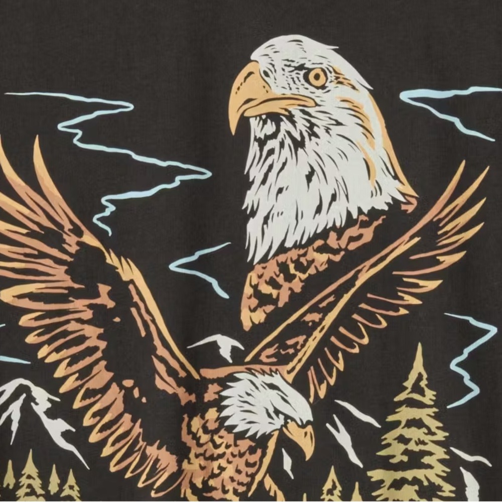Huckberry Black Tee with Multicolor Eagle Graphic - Picture 6 of 7